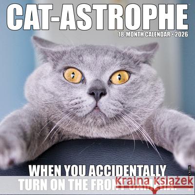 Cat-Astrophe 2026 12 X 12 Wall Calendar Willow Creek Press 9781549250606 Wlcp