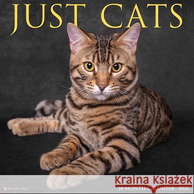 Cats 2026 12 X 12 Wall Calendar Willow Creek Press 9781549250613 Wlcp