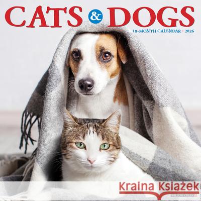 Cats & Dogs 2026 12 X 12 Wall Calendar Willow Creek Press 9781549250620 Willow Creek Press Calendars