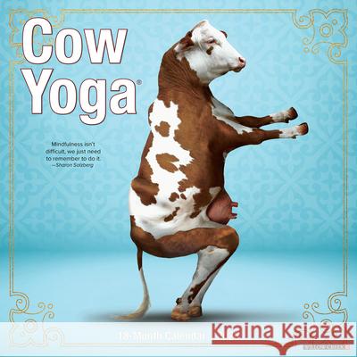 Cow Yoga 2026 12 X 12 Wall Calendar Willow Creek Press 9781549250873 Wlcp