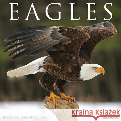 Eagles 2026 12 X 12 Wall Calendar Willow Creek Press 9781549251030 Wlcp