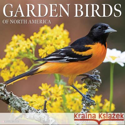 Garden Birds 2026 Wall Calendar Willow Creek Press 9781549251184 Wlcp