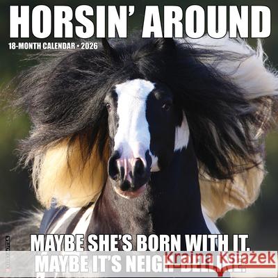Horsin' Around 2026 Wall Calendar Willow Creek Press 9781549251511 Wlcp