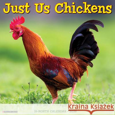 Just Us Chickens 2026 Wall Calendar Willow Creek Press 9781549251658 Wlcp