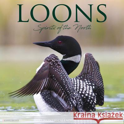 Loons 2026 Wall Calendar Willow Creek Press 9781549251832 Wlcp