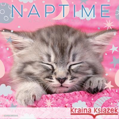 Naptime: A Cat's Favorite Pastime 2026 Wall Calendar Willow Creek Press 9781549252082 Wlcp