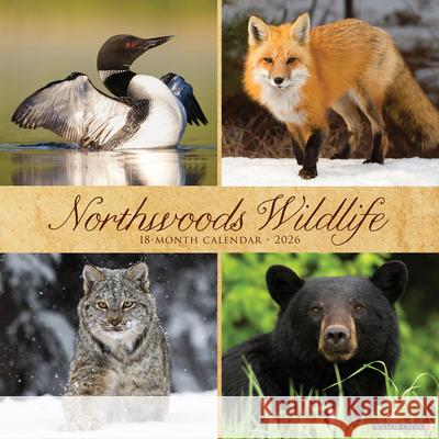 Northwoods Wildlife 2026 Wall Calendar Willow Creek Press 9781549252204 Wlcp