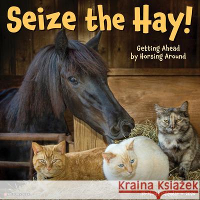 Seize the Hay 2026 Wall Calendar Willow Creek Press 9781549252730 Wlcp