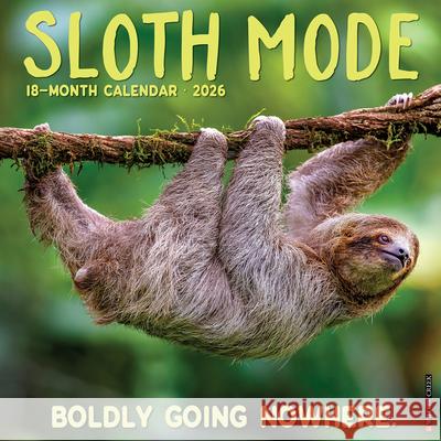 Sloth Mode 2026 Wall Calendar Willow Creek Press 9781549252822 Wlcp