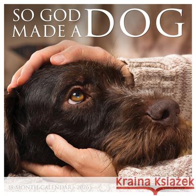 So God Made a Dog 2026 12 X 12 Wall Calendar Willow Creek Press 9781549252860 Willow Creek Press Calendars