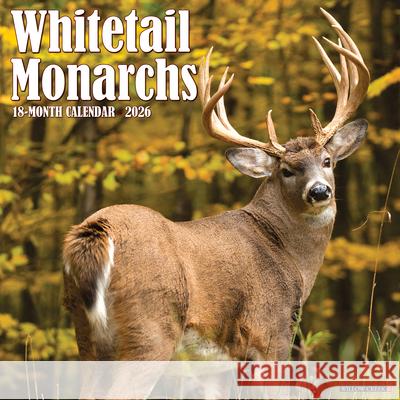 Whitetail Monarchs (Deer) 2026 12 X 12 Wall Calendar Willow Creek Press 9781549253249 Willow Creek Press Calendars
