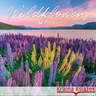 Wildflowers 2026 Wall Calendar Willow Creek Press 9781549253294 Wlcp