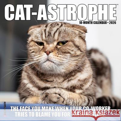 Cat-Astrophe 2026 7 X 7 Mini Wall Calendar Willow Creek Press 9781549253492 Wlcp