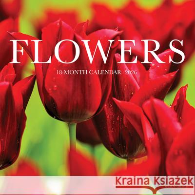 Flowers 2026 7 X 7 Mini Wall Calendar Willow Creek Press 9781549253584 Wlcp