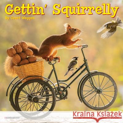 Gettin' Squirrelly 2026 Mini Wall Calendar Geert Weggen 9781549253591 Wlcp