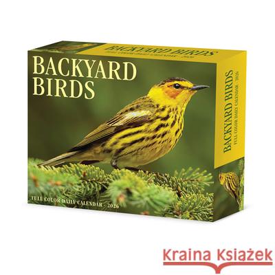 Backyard Birds 2026 Box Calendar Willow Creek Press 9781549253935 Wlcp