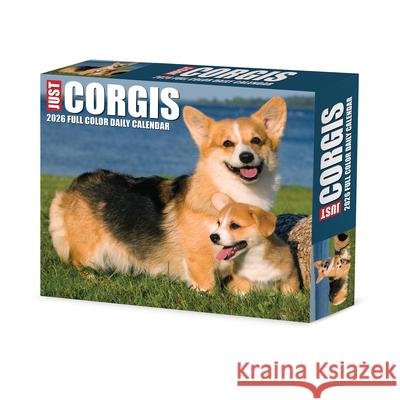 Corgis 2026 5.4 X 6.2 Box Calendar Willow Creek Press 9781549254079 Wlcp