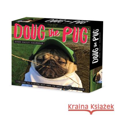 Doug the Pug 2026 5.4 X 6.2 Box Calendar-USA  9781549254154 Wlcp