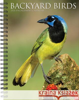 Backyard Birds 2026 Engagement Calendar Willow Creek Press 9781549254574 Wlcp