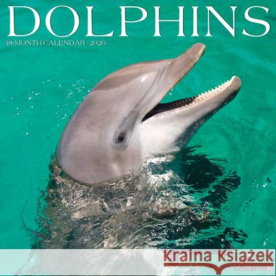 Dolphins 2026 Wall Calendar Willow Creek Press 9781549255403 Wlcp