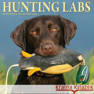 Hunting Labs 2026 12 X 12 Wall Calendar Willow Creek Press 9781549255458 Willow Creek Press Calendars