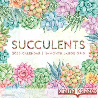 Succulents--Large Grid 2026 Wall Calendar Willow Creek Press 9781549255564 Wlcp