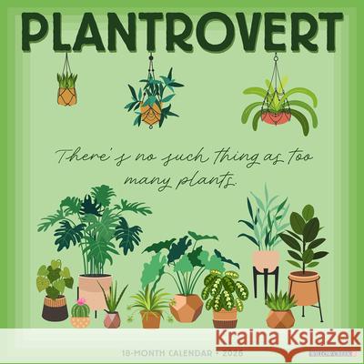 Plantrovert 12 X 12 Wall Calendar Willow Creek Press 9781549255854 Wlcp