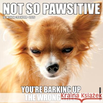 Not So Pawsitive 12 X 12 Wall Calendar Willow Creek Press 9781549256011 Willow Creek Press Calendars