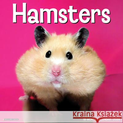 Hamsters 2026 Wall Calendar Willow Creek Press 9781549257025 Wlcp