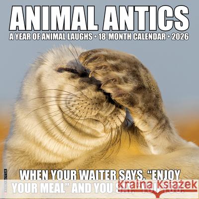 Animal Antics 2026 Wall Calendar Willow Creek Press 9781549257735 Wlcp