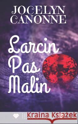 Larcin Pas Malin Jocelyn Canonne Jocelyn Canonne 9781549815577 Independently Published