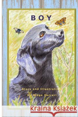 Boy Midge Curreri 9781549950056 Independently Published