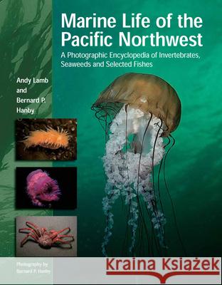 Marine Life of the Pacific Northwest: A Photographic Encyclopedia of Invertebrates, Seaweeds and Selected Fishes Andy Lamb Bernard Hanby Bernard Hanby 9781550173611 Harbour Publishing