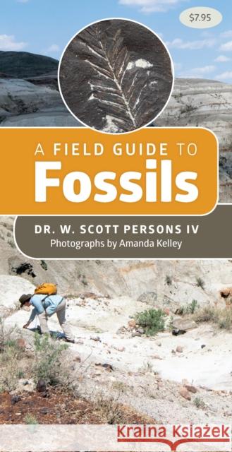 A Field Guide to Fossils W. Scott Persons 9781550179101 Harbour Publishing