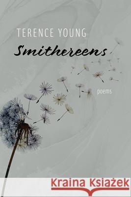 Smithereens Terence Young 9781550179439