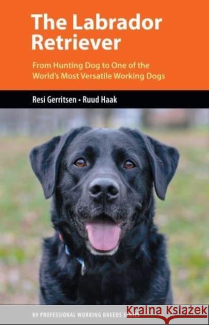The Labrador Retriever: From Hunting Dog to One of the World's Most Versatile Working Dogs Ruud Haak 9781550598117 Brush Education Inc