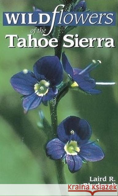 Wildflowers of the Tahoe Sierra Blackwell, Laird 9781551050850