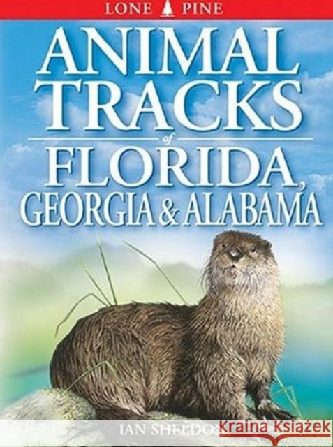 Animal Tracks of Florida, Georgia, Alabama Ian Sheldon 9781551051475 Lone Pine Publishing