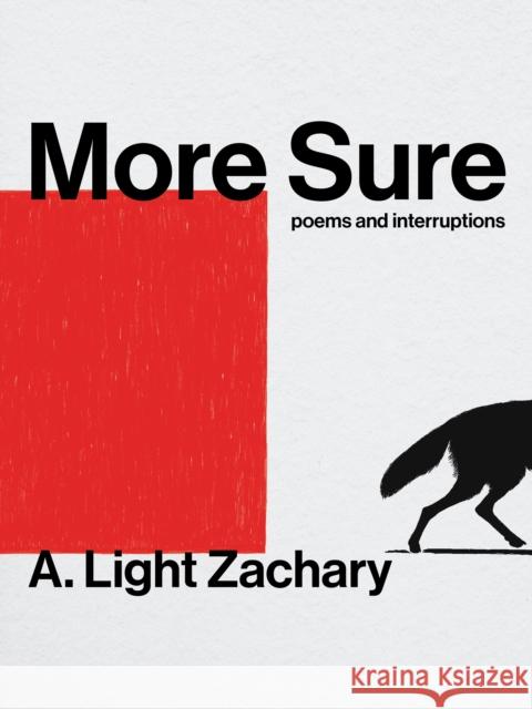 More Sure A. Light Zachary 9781551529172 Arsenal Pulp Press