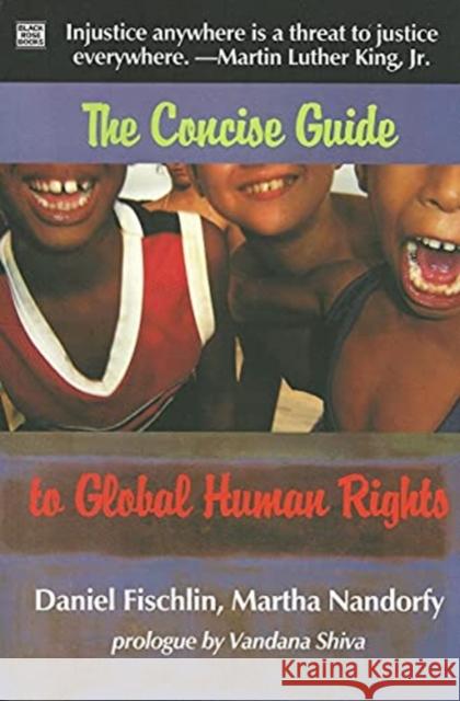 The Concise Guide To Global Human Rights Daniel Fischlin 9781551642956