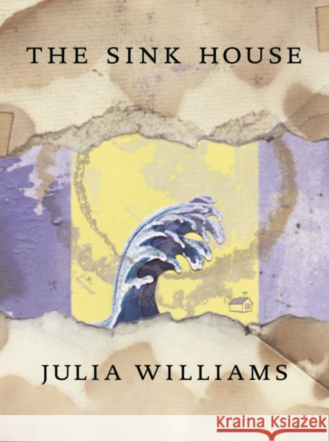 The Sink House Julia Williams 9781552451465 Coach House Books