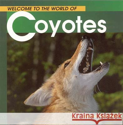Welcome to the World of Coyotes Diane Swanson 9781552852583 Walrus Books