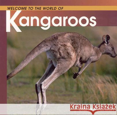 Welcome to the World of Kangaroos Diane Swanson 9781552854716 Walrus Books