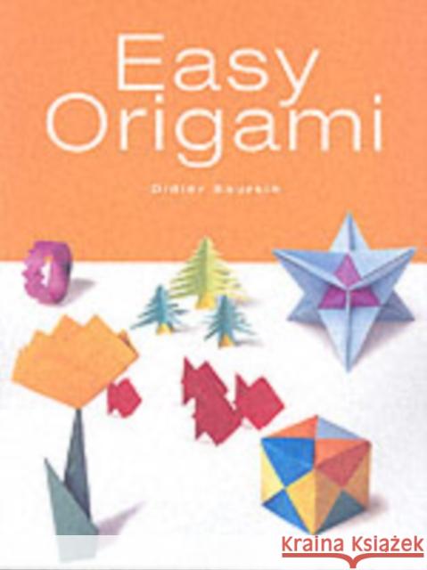 Easy Origami Didier Boursin 9781552979396 Firefly Books Ltd