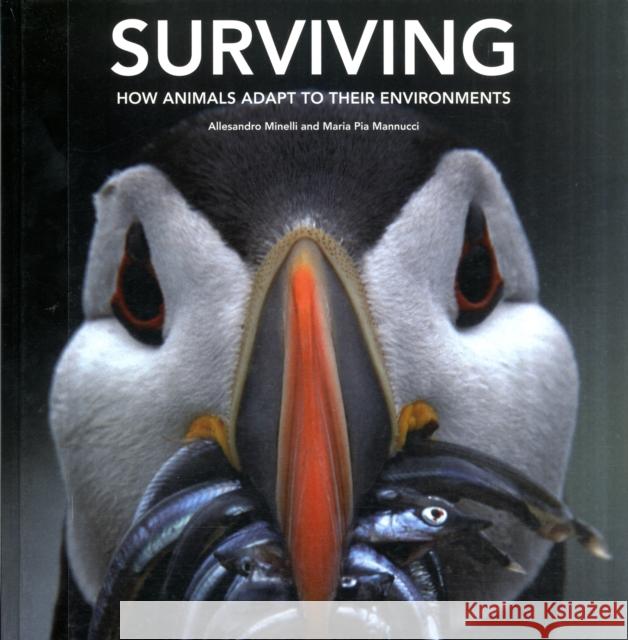Surviving: How Animals Adapt to Their Environments Alessandro Minelli Maria Pia Mannucci 9781554075201 Firefly Books