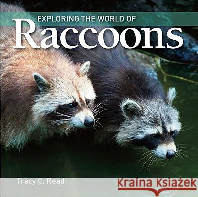 Exploring the World of Raccoons Tracy C. Read 9781554076178 Firefly Books