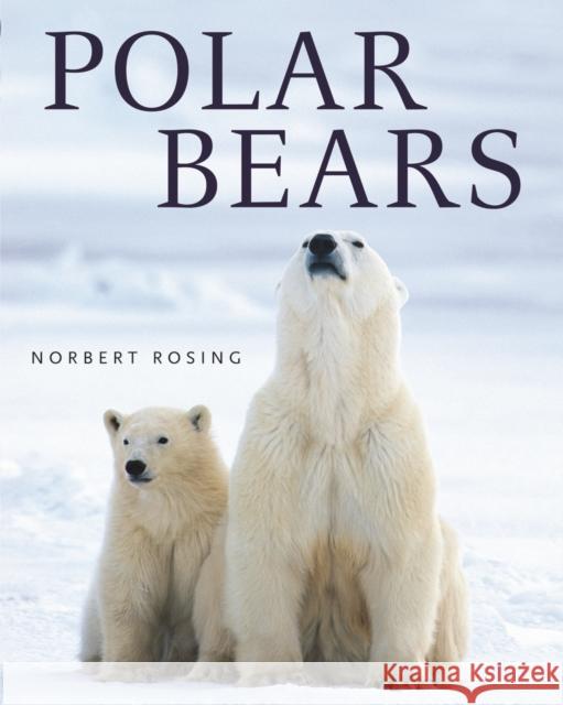 Polar Bears Norbert Rosing 9781554076239 Firefly Books