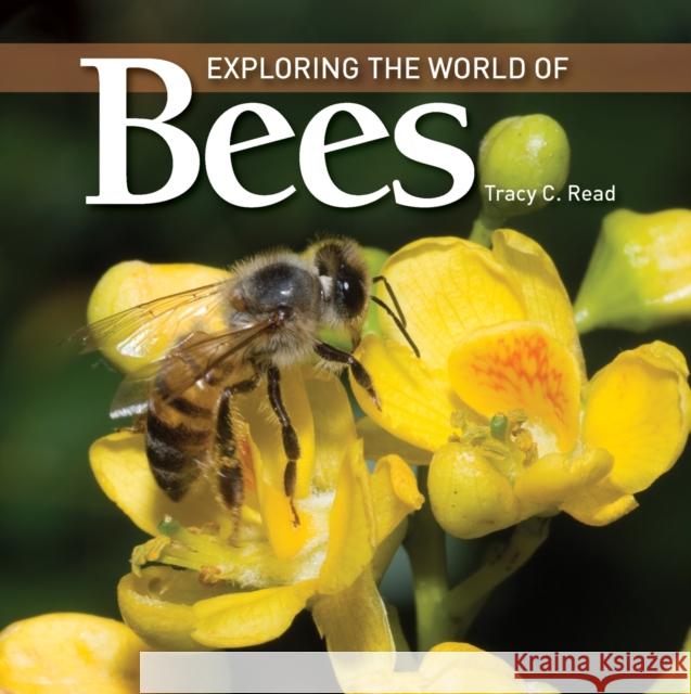 Exploring the World of Bees Tracy C. Read 9781554079551 Firefly Books