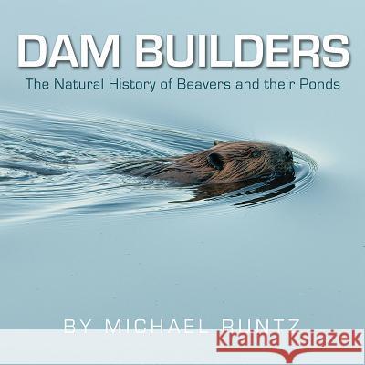 Dam Builders: The Natural History of Beavers and Their Ponds Michael Runtz 9781554553242 Fitzhenry & Whiteside Ltd