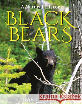 Black Bears: A Natural History Dave Taylor 9781554554690